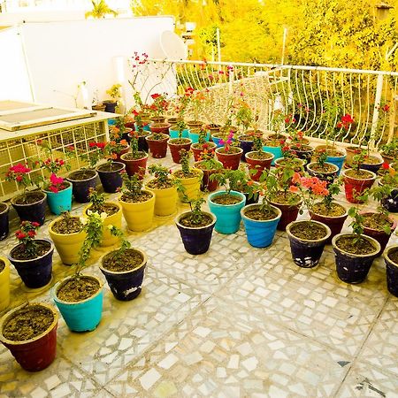 Safarnama Agra B&B 외부 사진