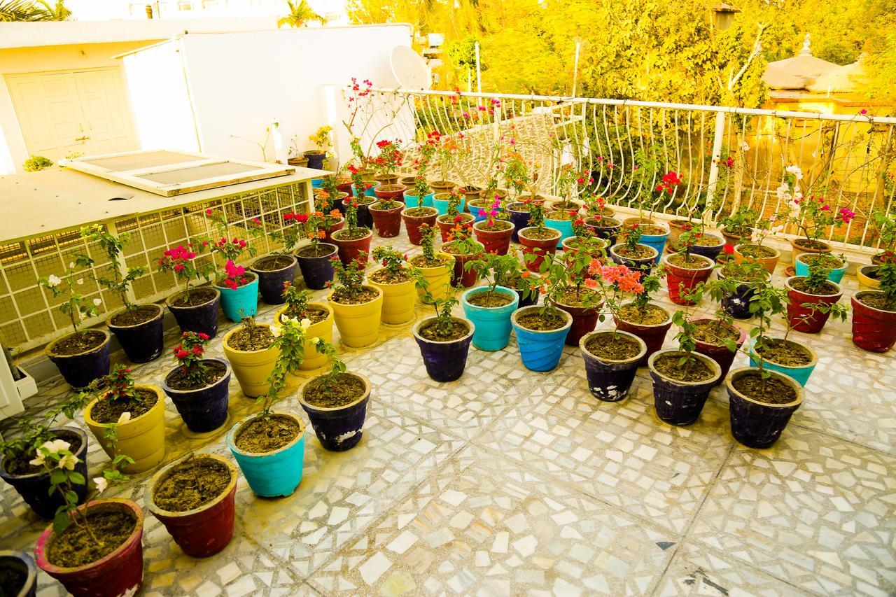 Safarnama Agra B&B 외부 사진